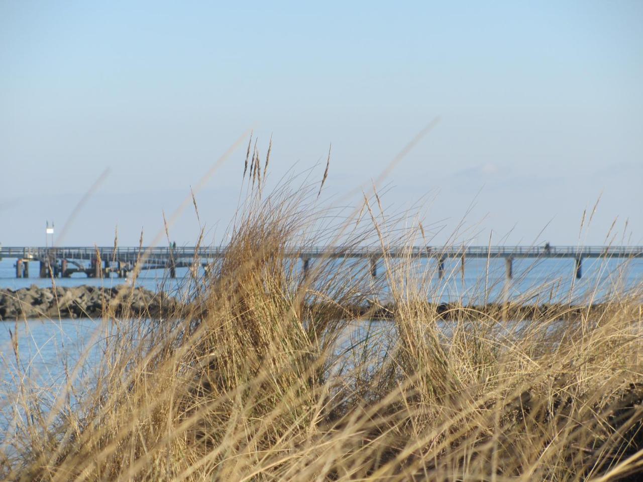 Ferienwohnung Sonnenschein Schonberger Strand Bagian luar foto