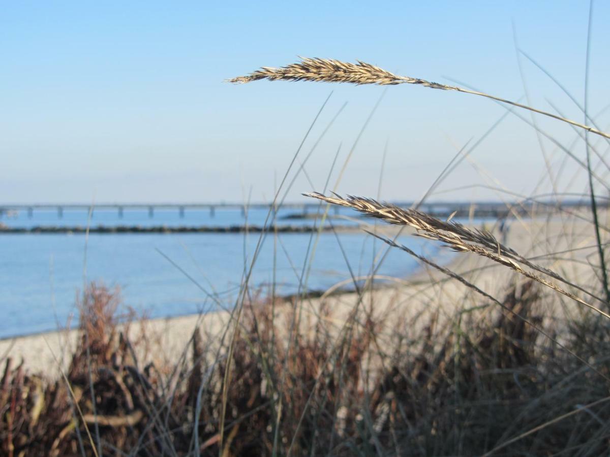 Ferienwohnung Sonnenschein Schonberger Strand Bagian luar foto